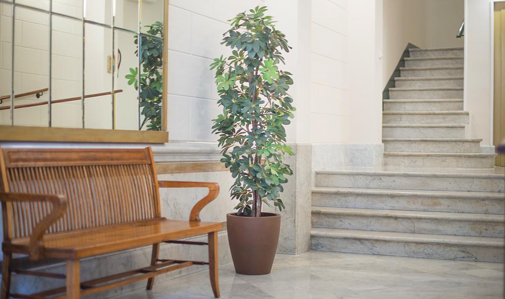 Anakena House Couette-café 3*